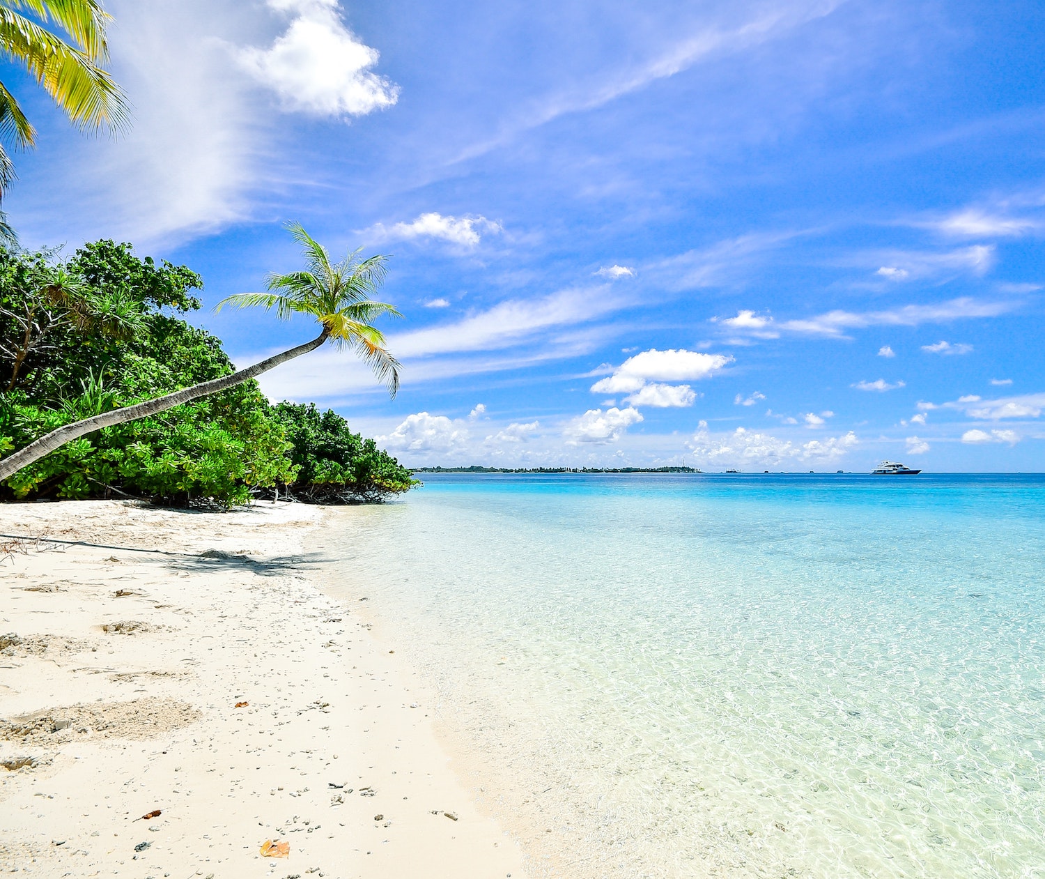 100+ Beach Quotes & Captions: Short, Funny, Inspirational