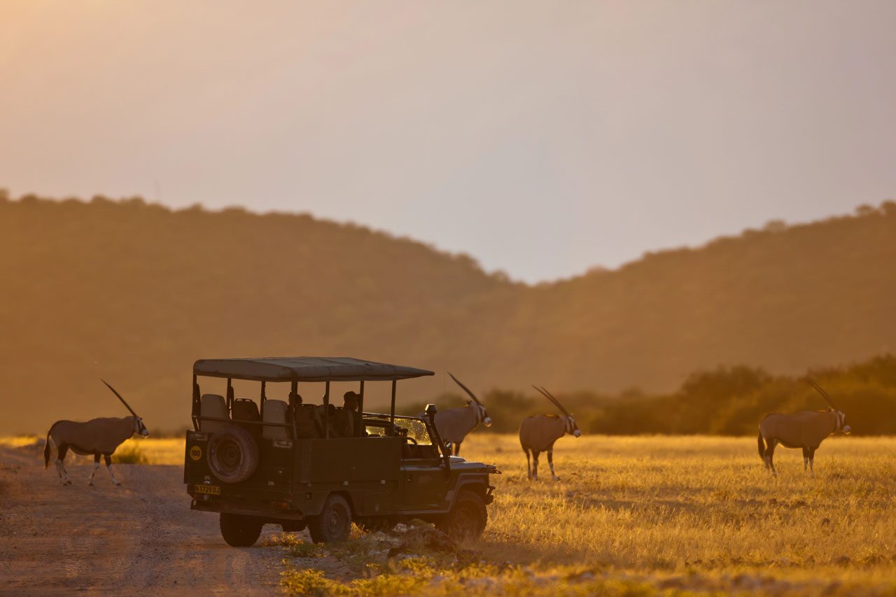 Luxury Safari Guide: What to Expect from the World’s Best Lodges